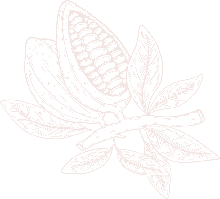 cacaoteros asobellca colombia