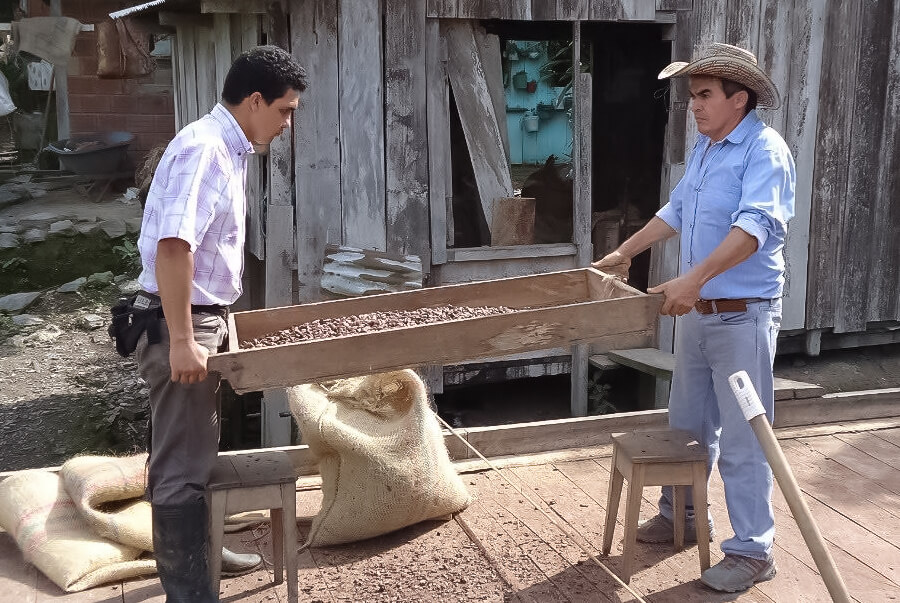 asobellca productores de cacao santnader colombia