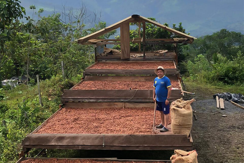 asobellca proyección cacao